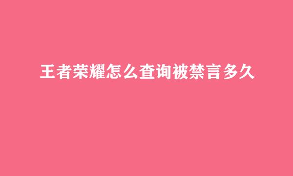王者荣耀怎么查询被禁言多久