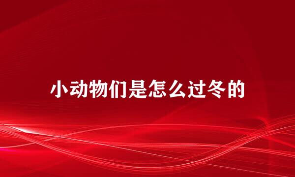 小动物们是怎么过冬的