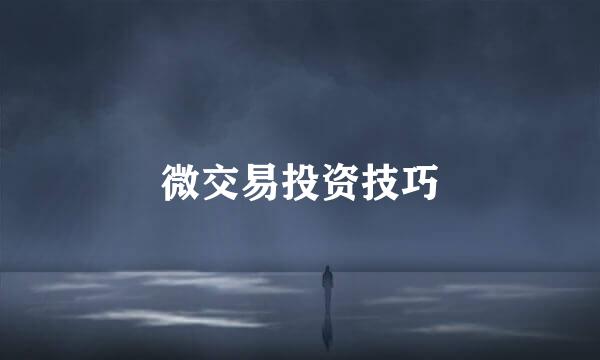 微交易投资技巧