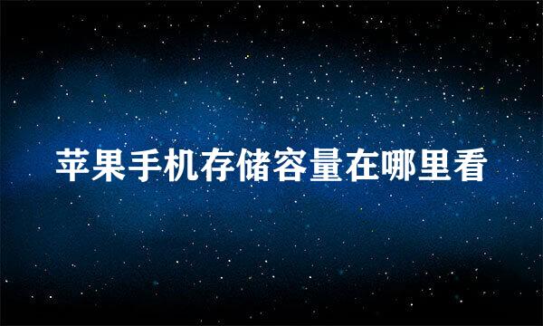 苹果手机存储容量在哪里看