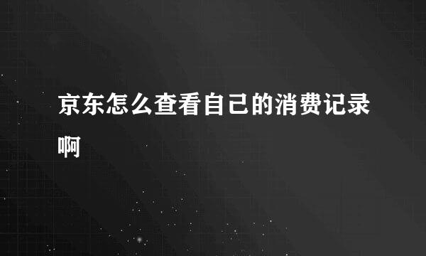 京东怎么查看自己的消费记录啊