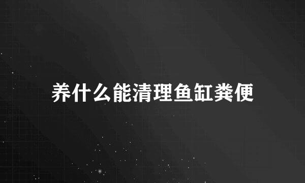 养什么能清理鱼缸粪便