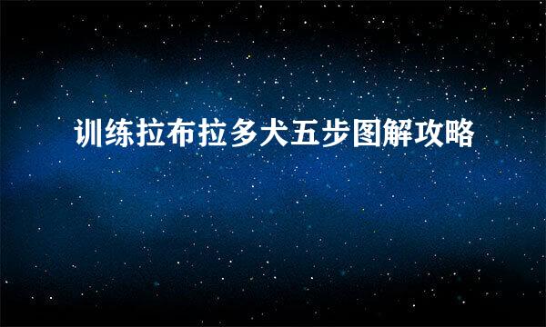 训练拉布拉多犬五步图解攻略
