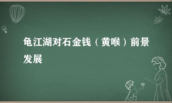 龟江湖对石金钱（黄喉）前景发展