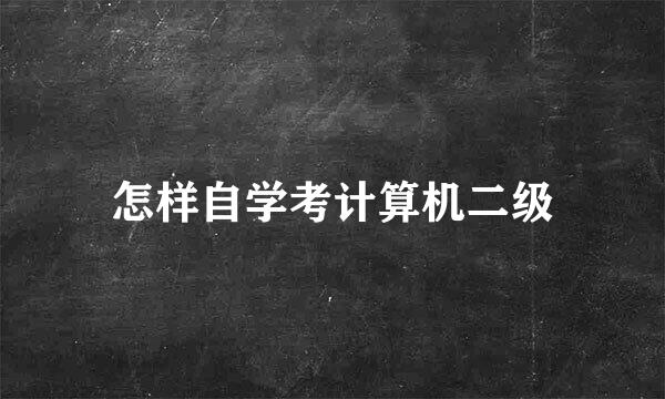 怎样自学考计算机二级