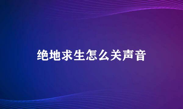 绝地求生怎么关声音
