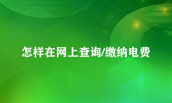 怎样在网上查询/缴纳电费