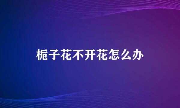 栀子花不开花怎么办