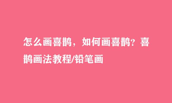 怎么画喜鹊，如何画喜鹊？喜鹊画法教程/铅笔画