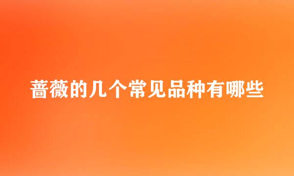 蔷薇的几个常见品种有哪些