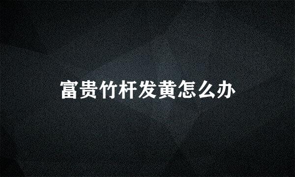 富贵竹杆发黄怎么办
