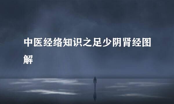 中医经络知识之足少阴肾经图解