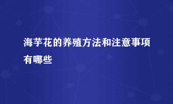 海芋花的养殖方法和注意事项有哪些