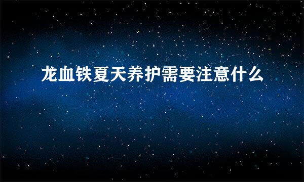 龙血铁夏天养护需要注意什么