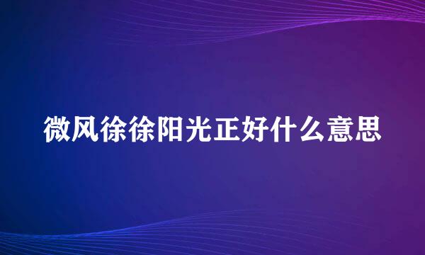 微风徐徐阳光正好什么意思
