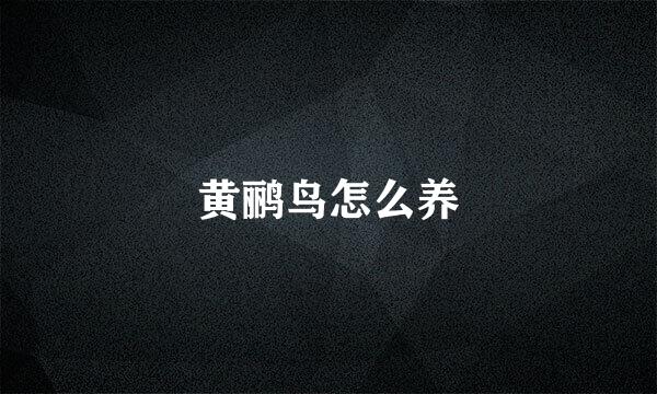 黄鹂鸟怎么养