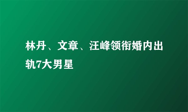 林丹、文章、汪峰领衔婚内出轨7大男星