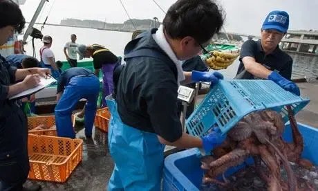 台湾首次检出日本福岛等地进口食品含辐射物,这样的食品还能放心吃吗?