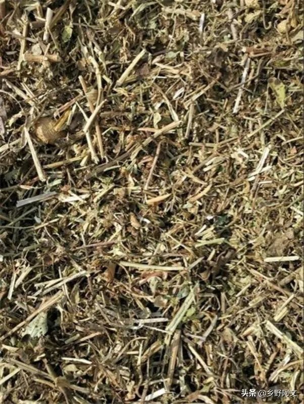 花生秧粉怎么喂鸭好?