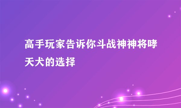高手玩家告诉你斗战神神将哮天犬的选择