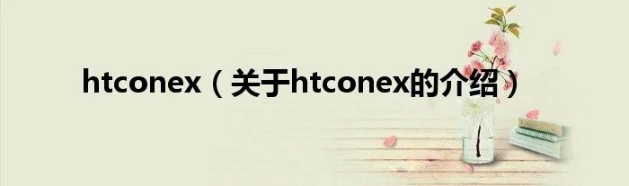 htconex（关于htconex的介绍）