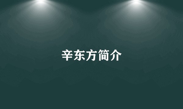 辛东方简介