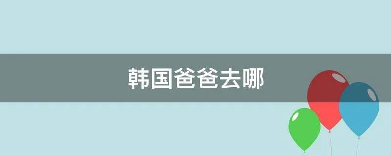 韩国爸爸去哪