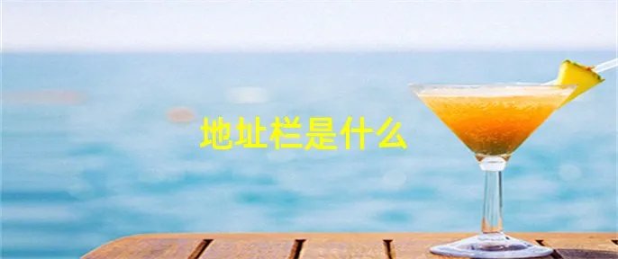 地址栏是什么