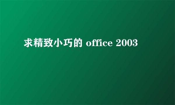 求精致小巧的 office 2003