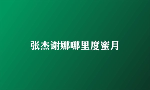 张杰谢娜哪里度蜜月
