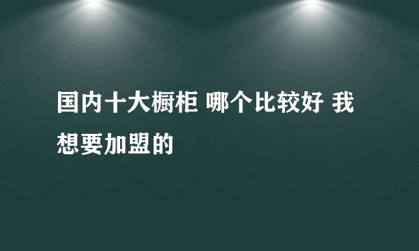 国内十大橱柜 哪个比较好 我想要加盟的