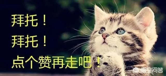火箭将安排安东尼改打大前锋，这会让声明不打大前锋的瓜哥反感吗？他会消极怠工吗？