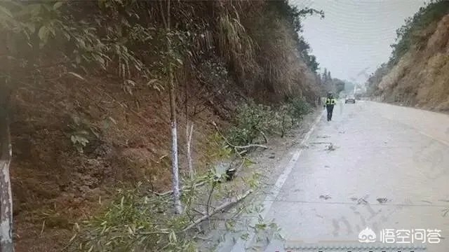 如何看待江西九江女司机开车睡着连撞18棵树?