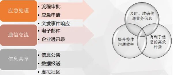 电子政务软件开发公司在国内有哪些做得专业的