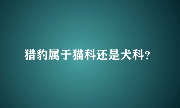 猎豹属于猫科还是犬科？