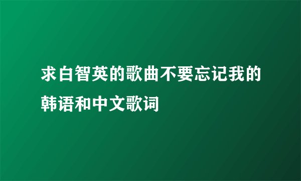 求白智英的歌曲不要忘记我的韩语和中文歌词