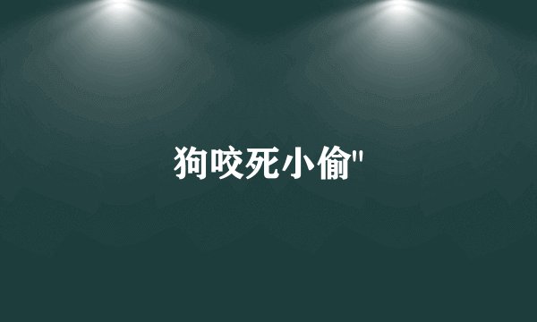 狗咬死小偷