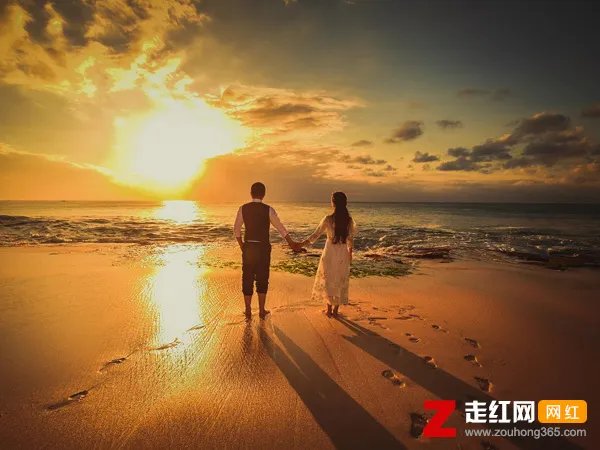 我在等某年某月的某一天某人出现是什么歌,我在等歌曲介绍