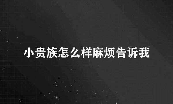 小贵族怎么样麻烦告诉我