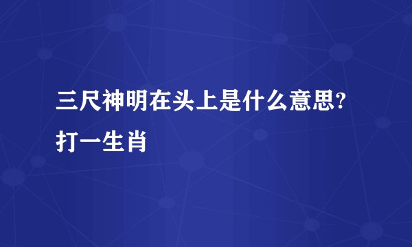 三尺神明在头上是什么意思?打一生肖