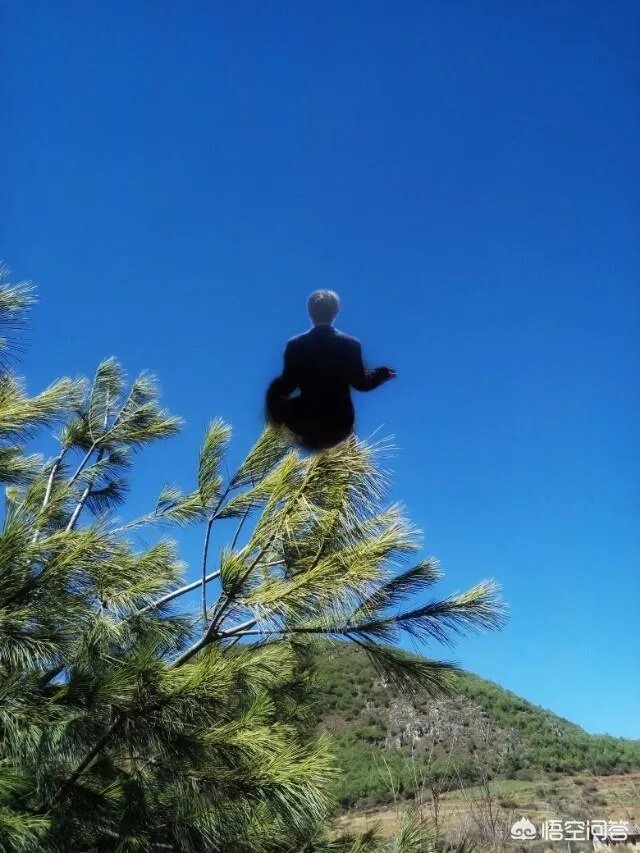 警车的警灯一定要是左红右蓝吗？
