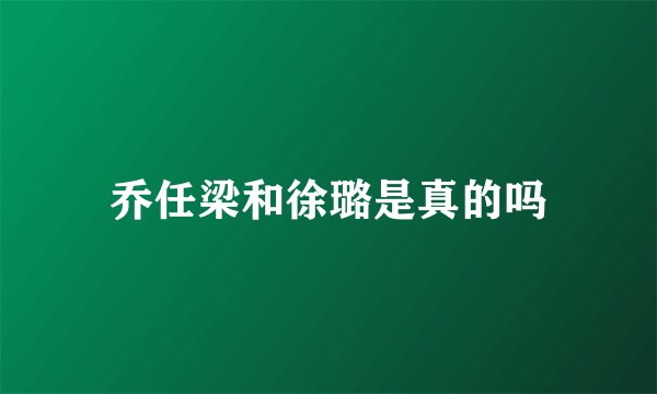 乔任梁和徐璐是真的吗