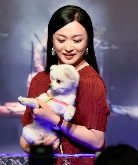为什么这么多人喜欢金星?