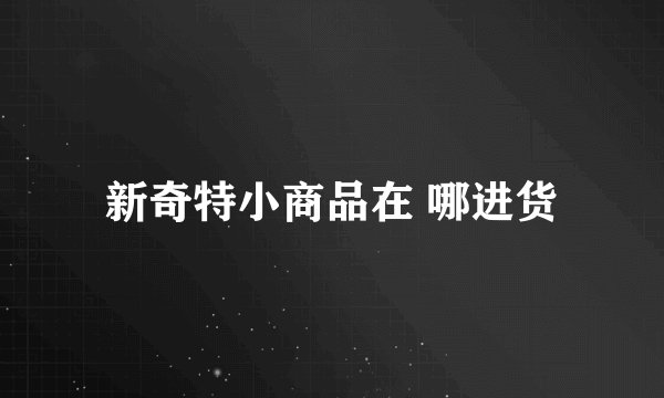 新奇特小商品在 哪进货