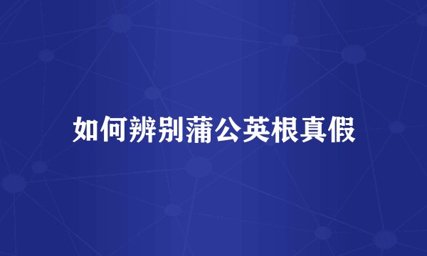 如何辨别蒲公英根真假