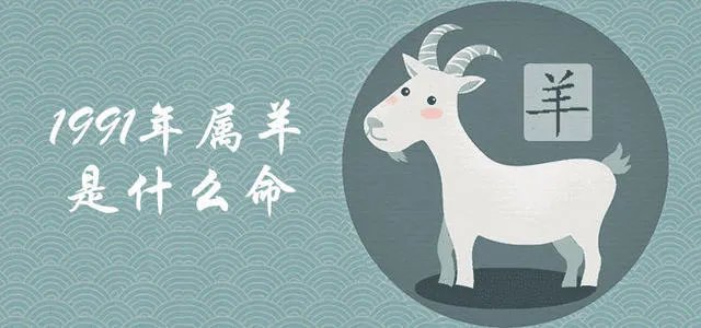 1991年属羊的是什么命 1991年属羊为什么都有二婚