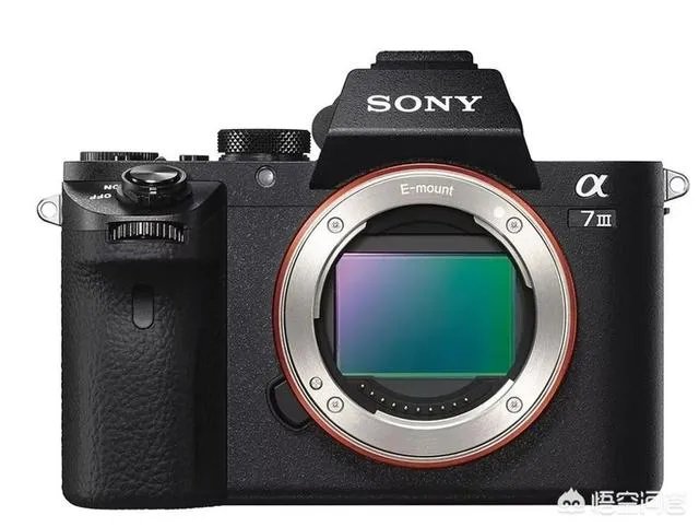 A7III和A9、A7RIII之间有什么差别?