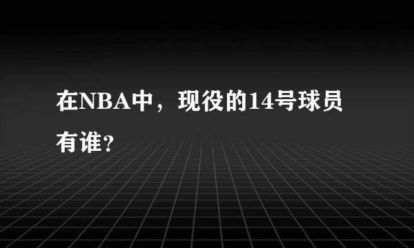 在NBA中，现役的14号球员有谁？
