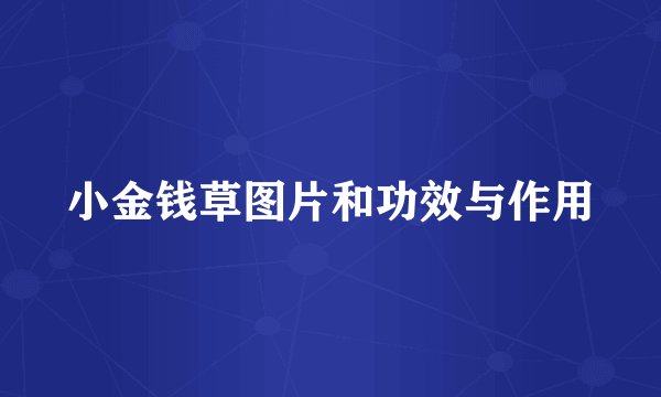 小金钱草图片和功效与作用