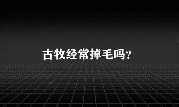 古牧经常掉毛吗？